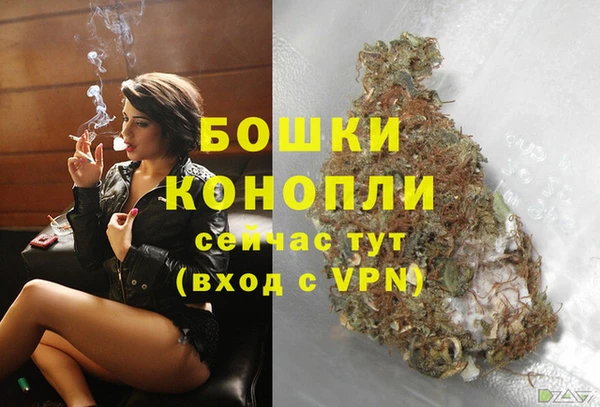 бошки Лагань