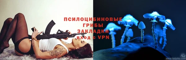 бутират Кукмор