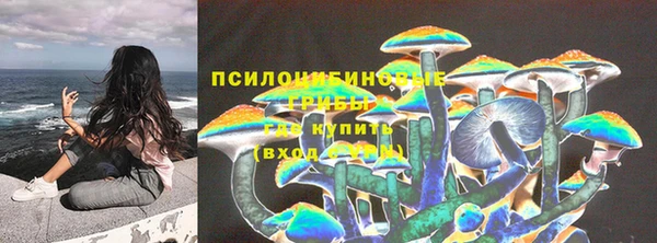 прущая мука Кулебаки