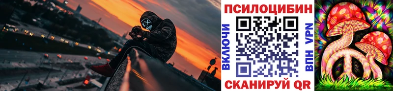 дарнет шоп  Малгобек  Псилоцибиновые грибы прущие грибы 