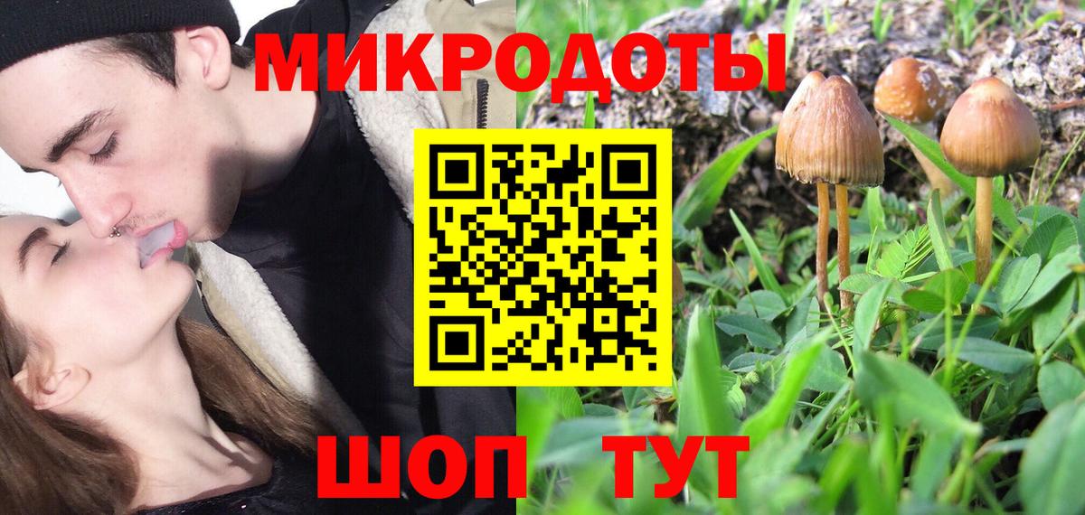 Псилоцибиновые грибы мицелий Малгобек