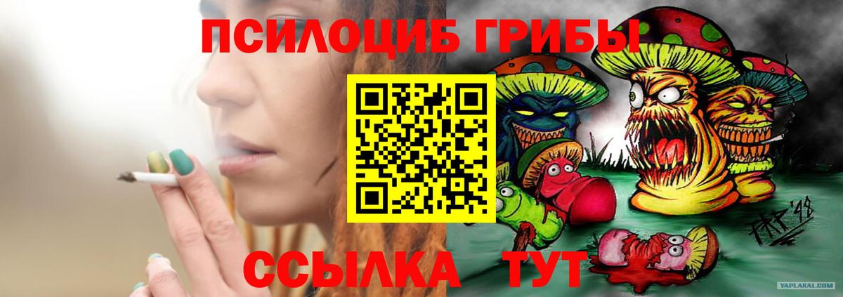 Псилоцибиновые грибы мицелий  Галлюциногенные грибы GOLDEN TEACHER  Вход с VPN  Малгобек 